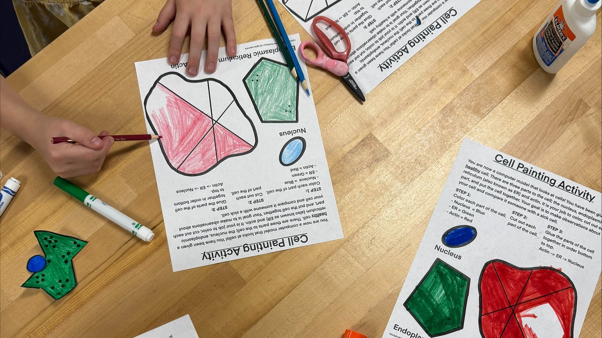 Cell painting coloring sheets on the table.