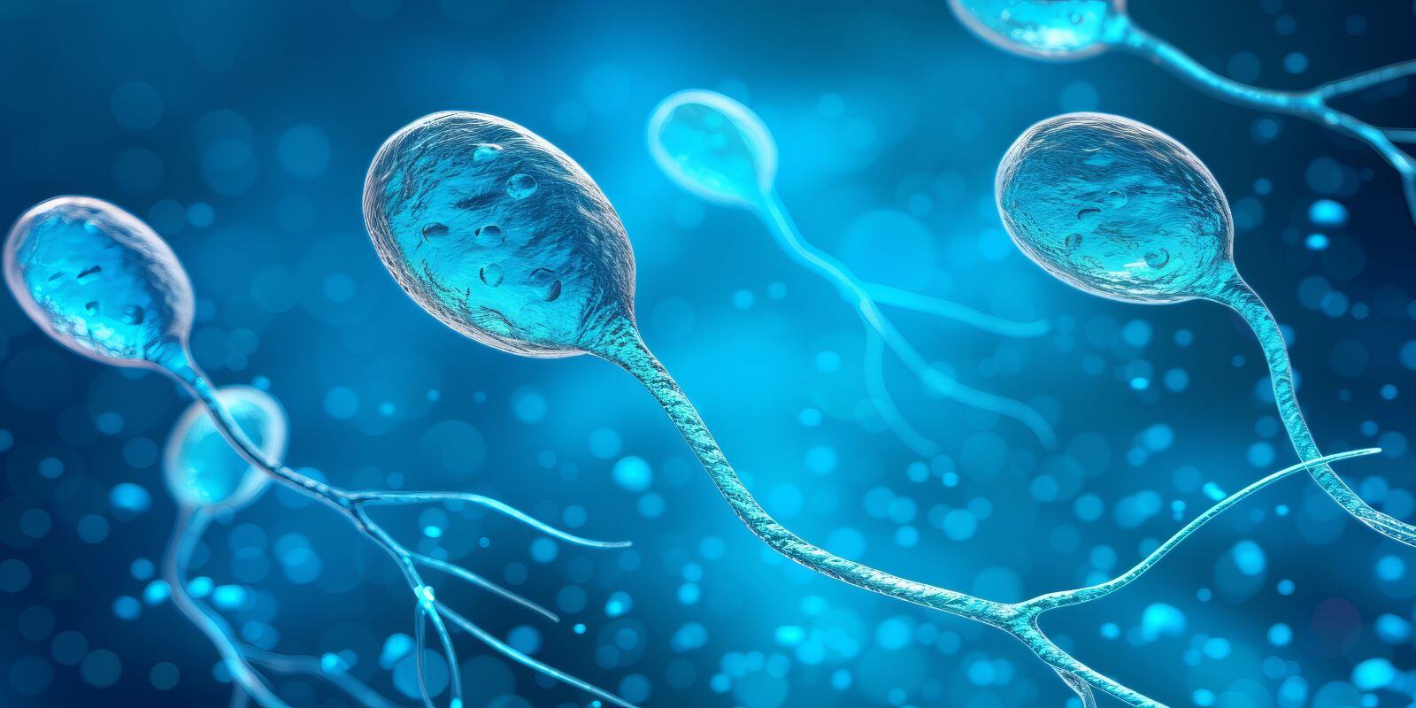 semaglutide sperm Breakthrough Research Sheds Light On The Hidden Effects Of Stress On Sperm